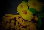 Turmeric – A magic for your life