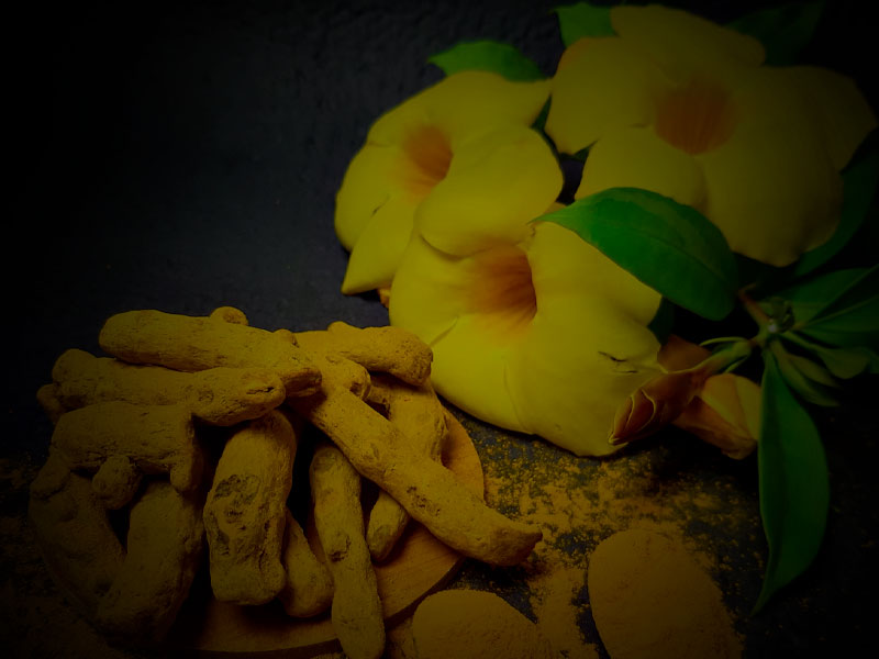 Turmeric – A magic for your life