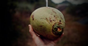 Coconut Water: The Natural Hydration Drink