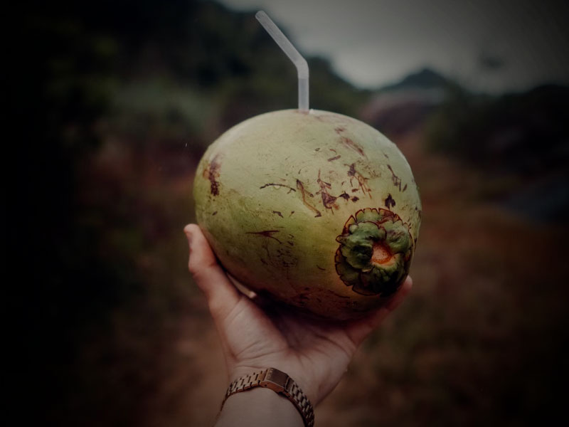 Coconut Water: The Natural Hydration Drink