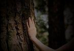 Hand Rub on Tree