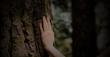 Hand Rub on Tree