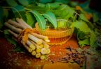Neem Stick -Datun