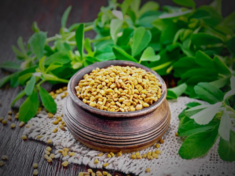 Unlock the Secret to Hair The Power of Fenugreek Water