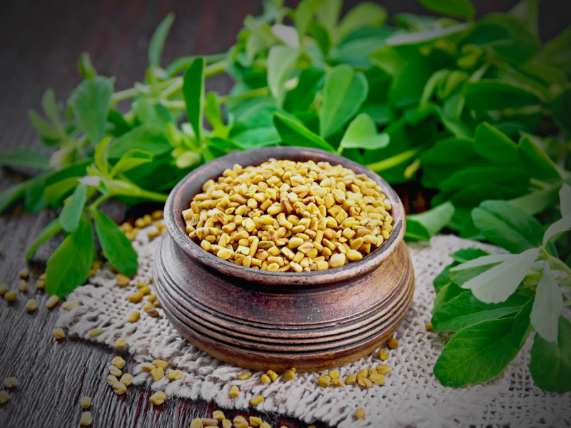 Benefit of Fenugreek Water