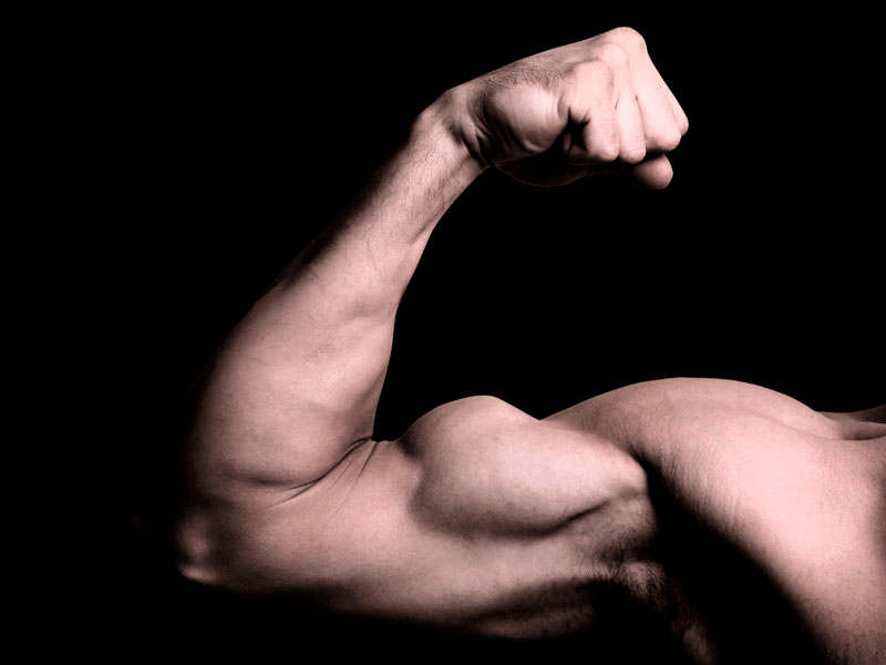 Exercise & Diet for Biceps